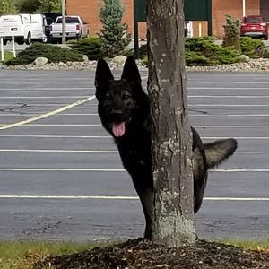 Meet your Posher, Kelly